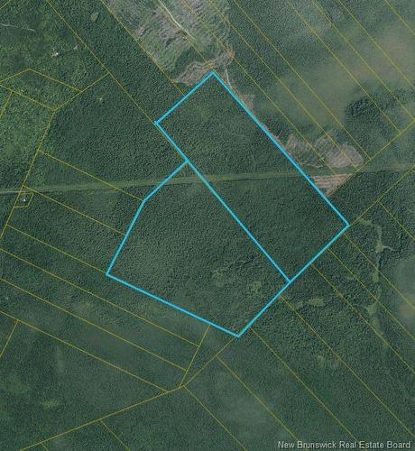172.9 Acres Off South Napan Rd, Black River Bridge, NB 