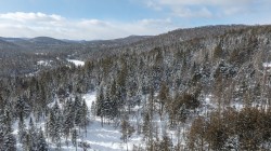 Vue d'ensemble - 