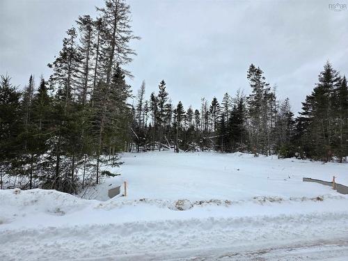 Lot 38 Wild Rose Drive, East Mountain, NS 