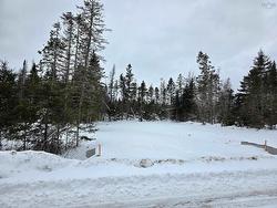 Lot 38 Wild Rose Drive  East Mountain, NS B6L 2Y4