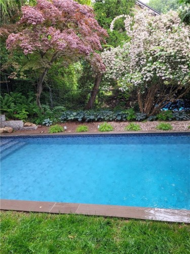 42 Melville Street, Hamilton, ON - Outdoor With In Ground Pool