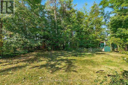 21 Forest Hill Drive, Springwater, ON - Outdoor
