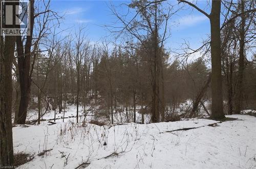 15 Talbot Street, Courtland, ON - Outdoor With View