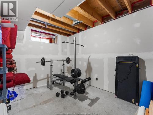46 Brush Crescent, Amherstburg, ON - Indoor Photo Showing Basement