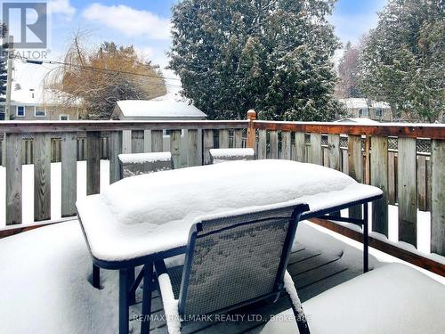 Back Yard - 79 Cartier Crescent, Richmond Hill, ON - Outdoor