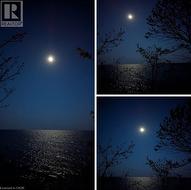 Moon lite nights and star gazing anywhwere on property and in community - 