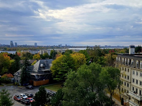 Vue - 304-103 Rue Du Château, Gatineau (Hull), QC - Outdoor With View