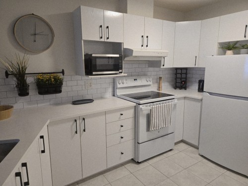 Cuisine - 304-103 Rue Du Château, Gatineau (Hull), QC - Indoor Photo Showing Kitchen