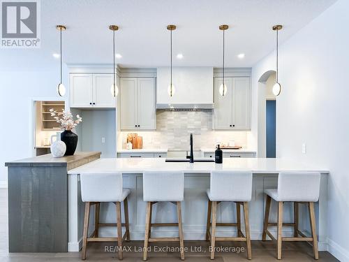 920 Bogdanovic Way, Huron-Kinloss, ON - Indoor Photo Showing Kitchen With Upgraded Kitchen