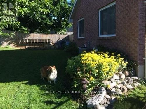 18 Tanner Drive, Stirling-Rawdon (Stirling Ward), ON - Outdoor