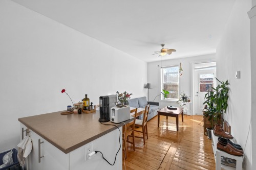 Overall view - 4423 Rue De Bordeaux, Montréal (Le Plateau-Mont-Royal), QC - Indoor