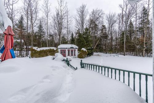 Backyard - 390 Rue Du Val-Des-Arbres, Sherbrooke (Brompton/Rock Forest/Saint-Élie/Deauville), QC - Outdoor