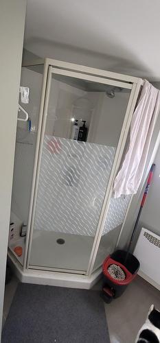 Bathroom - 114 38E Avenue, Sainte-Marthe-Sur-Le-Lac, QC - Indoor Photo Showing Other Room