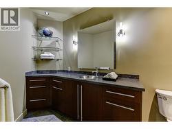Basement level bathroom - 