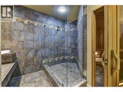 Basement level bathroom - 