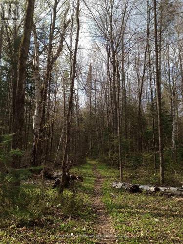 197 Hillside Drive, Kawartha Lakes (Somerville), ON - Outdoor With View