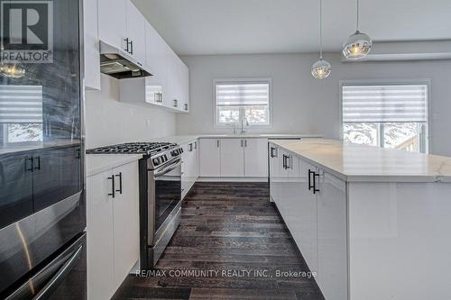 55 Tulip Crescent, Norfolk, ON - Indoor Photo Showing Kitchen With Upgraded Kitchen