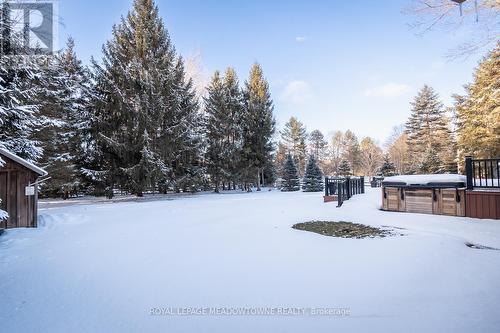 56 Acredale Drive, Hamilton, ON - Outdoor