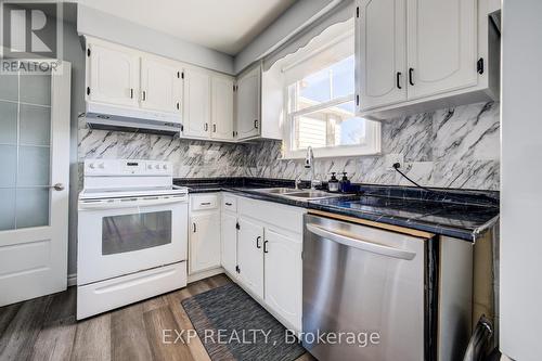 52 Uxbridge Crescent, Kitchener, ON - Indoor Photo Showing Kitchen With Double Sink