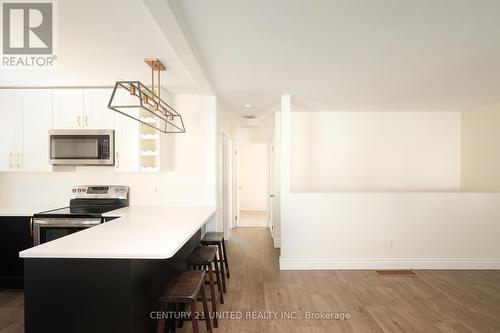 123 Towerhill Road, Peterborough (Northcrest Ward 5), ON - Indoor Photo Showing Kitchen