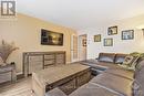 206 Guigues Avenue, Ottawa, ON  - Indoor Photo Showing Living Room 