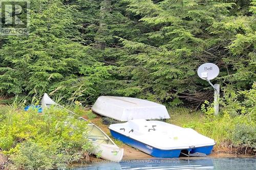 1118 Pine Lake Shores, Bracebridge, ON - Outdoor