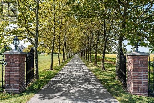 5938 Concession 5 North, Amherstburg, ON - Outdoor