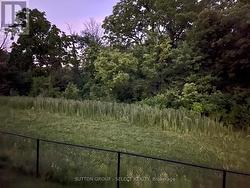 Backing onto protected forest.-Views from the deck - 