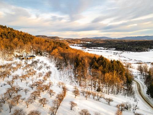 Photo aérienne - 1279 Ch. Hallé E., Brigham, QC 