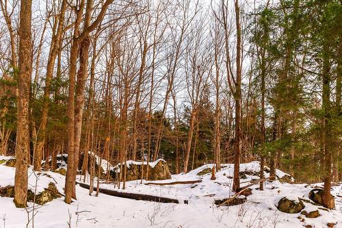 Érablière - 1279 Ch. Hallé E., Brigham, QC 