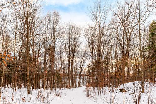 Érablière - 1279 Ch. Hallé E., Brigham, QC 