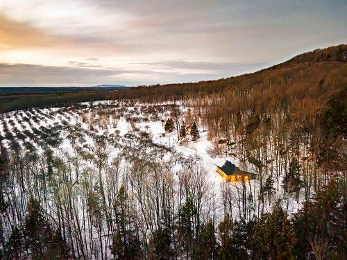 Photo aérienne - 1279 Ch. Hallé E., Brigham, QC 