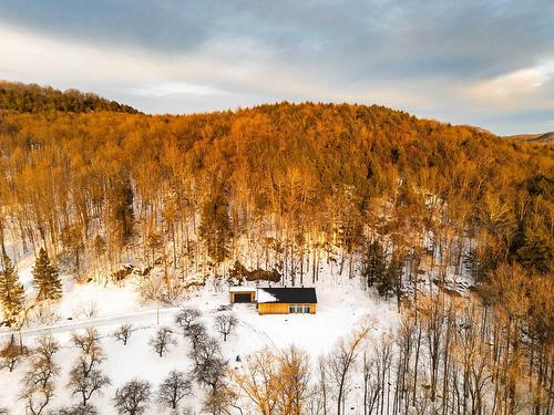 Photo aérienne - 1279 Ch. Hallé E., Brigham, QC 