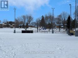 Ball Diamonds at park - 