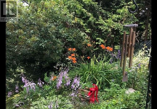 468 8Th Avenue E, Owen Sound, ON - Outdoor