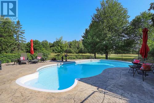 3125 Torwood Drive, Ottawa, ON - Outdoor With In Ground Pool With Backyard