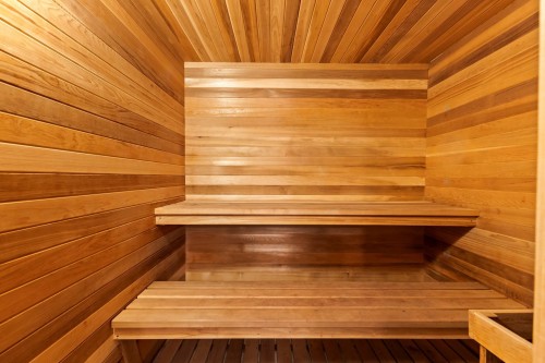 Sauna - 692 Rue Main, Hudson, QC - Indoor Photo Showing Other Room