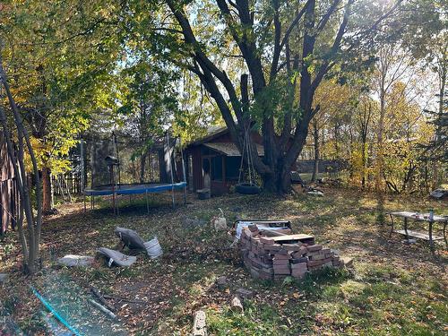 Cour - 810  - 814 Rue De L'Harricana, Malartic, QC - Outdoor