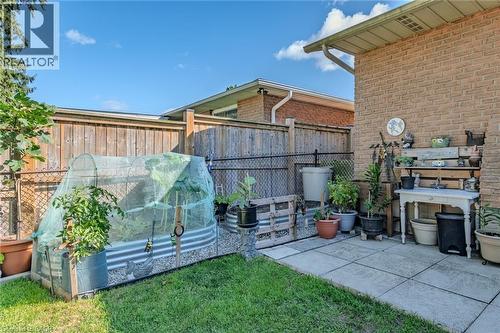 26 Douglas Avenue, Simcoe, ON - Outdoor With Deck Patio Veranda With Exterior