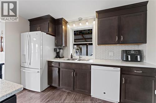 391 Lavoie Street, Belle River, ON - Indoor Photo Showing Kitchen With Double Sink
