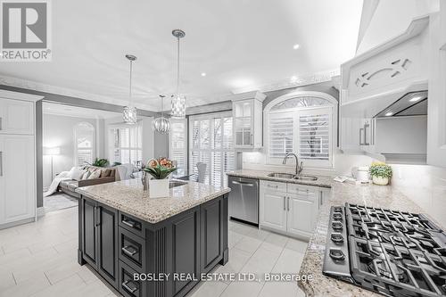 6358 Lisgar Drive, Mississauga, ON - Indoor Photo Showing Kitchen With Double Sink With Upgraded Kitchen