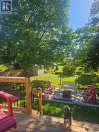 Summer photograph - rear yard.. - 