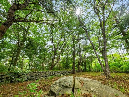 57 Old Falls Road, Liverpool, NS 