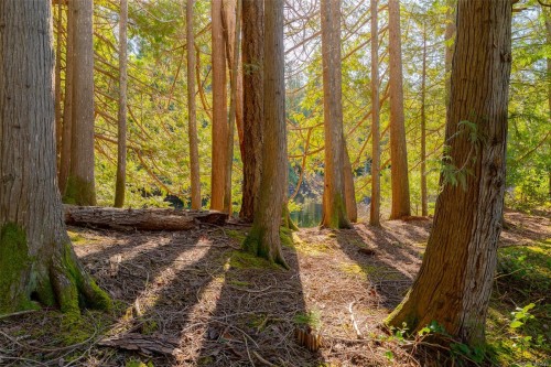 2740 Lakeview Rd, Qualicum Beach, BC 