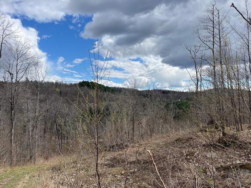 View - 72 Ch. De La Montagne, Saint-Sixte, QC 