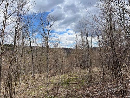 View - 72 Ch. De La Montagne, Saint-Sixte, QC 