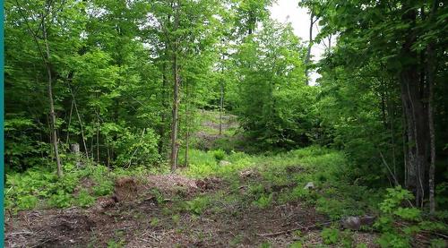 Autre - 67 Ch. De La Montagne, Saint-Sixte, QC 