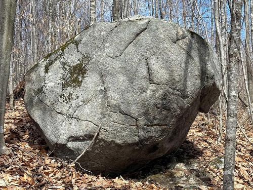Autre - 67 Ch. De La Montagne, Saint-Sixte, QC 