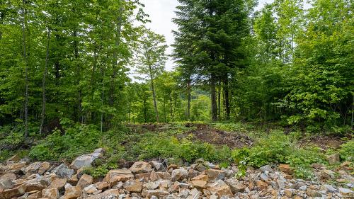 Other - 64 Ch. De La Montagne, Saint-Sixte, QC 