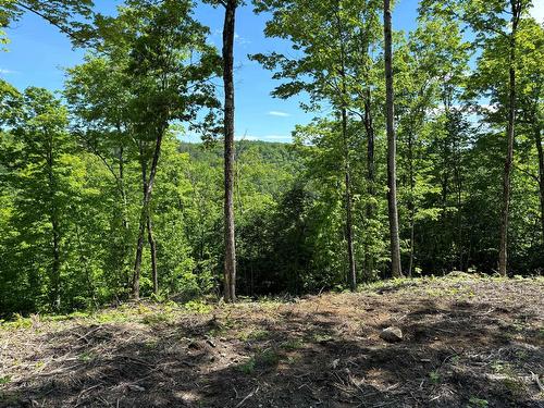 View - 64 Ch. De La Montagne, Saint-Sixte, QC 